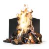 Grate Wall of Fire Fireplace Back Plate-4