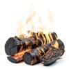 Flame Genie Black Stainless Steel Fireplace Back Plate FB1618 16x18-4